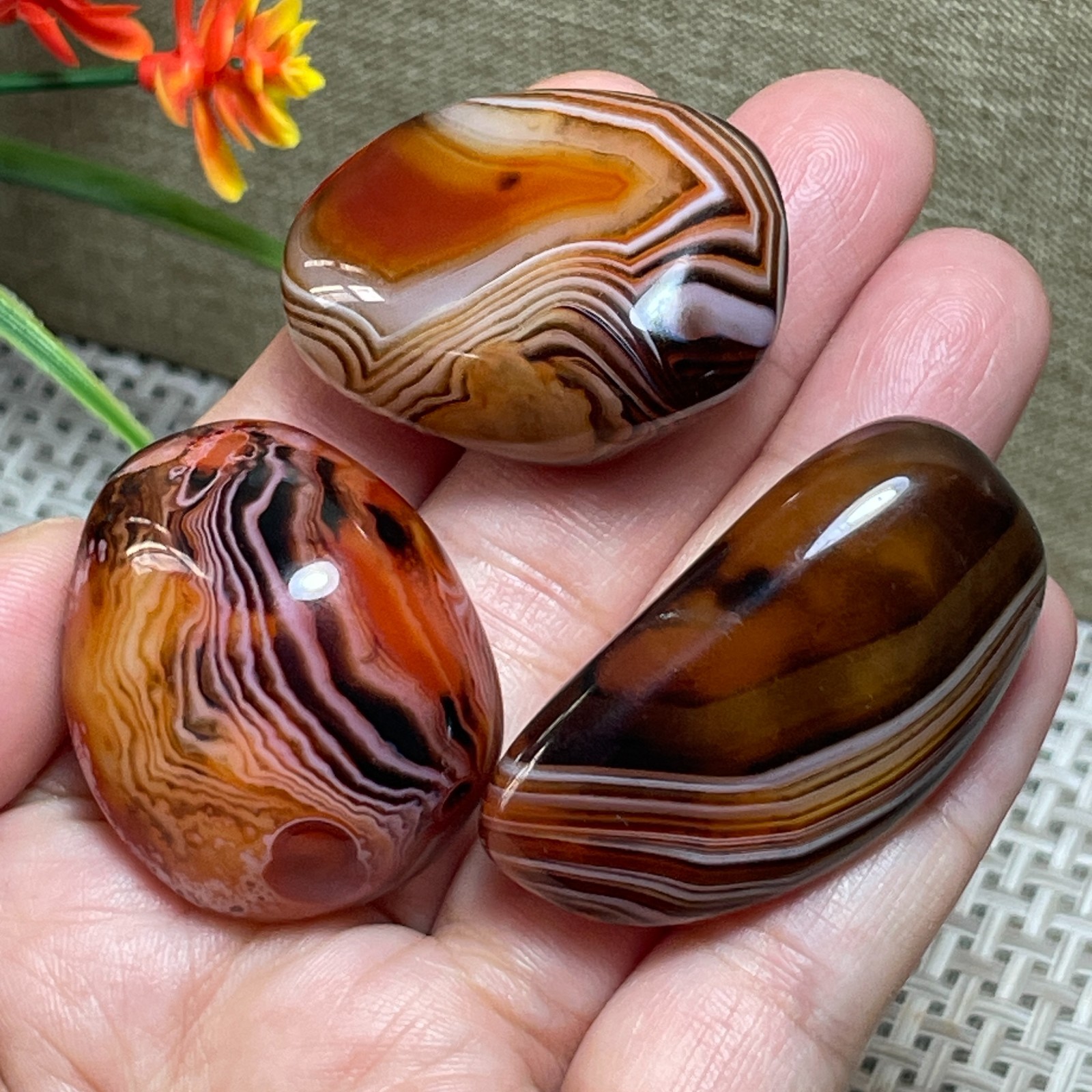 3pcs Crazy Lace SILK Banded Polished Tumbled Stone Madagascar Decor 77g