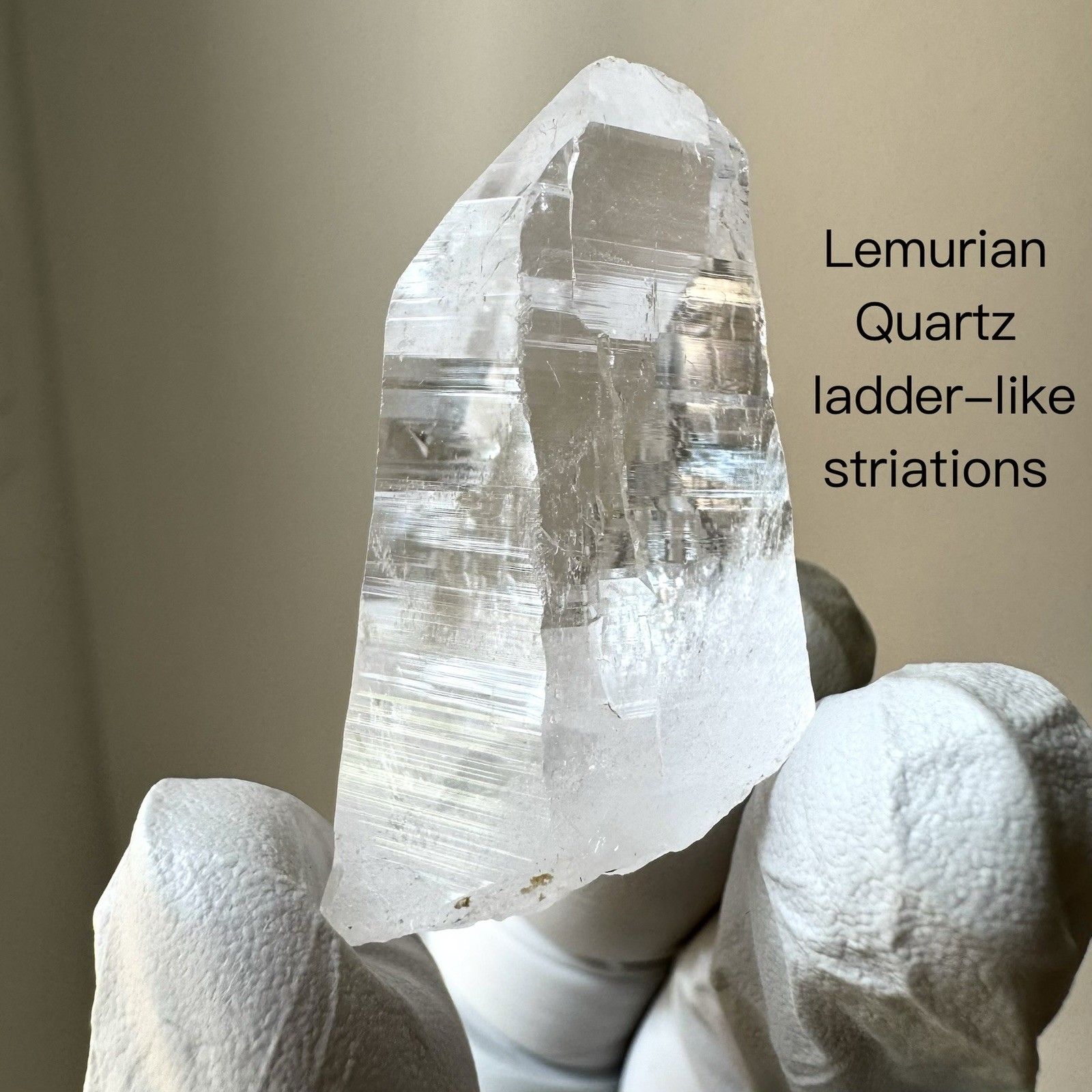 Ganesh Himalayan Quartz Nepal High Clarity Dense Akashic Lemurian Lines Crystal