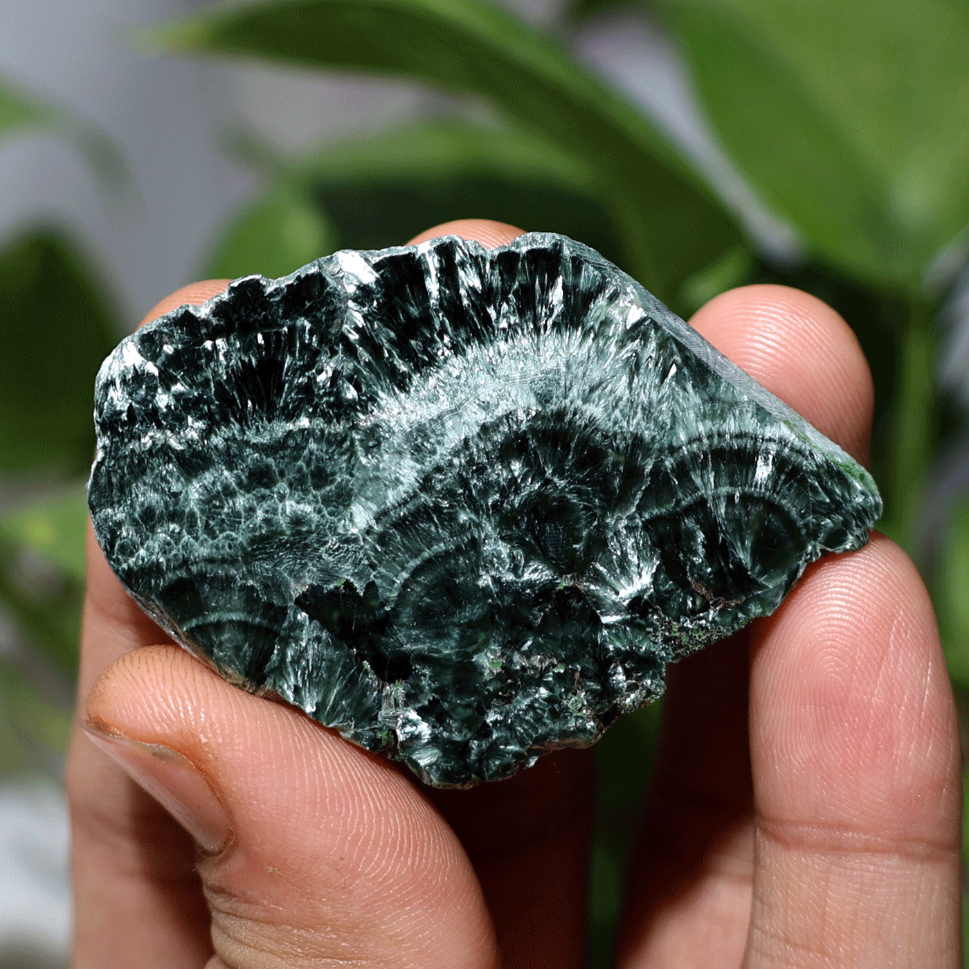 Angel Feathers~ 16.6g Natural Seraphinite Chatoyant Polished Palm Crystal Slab