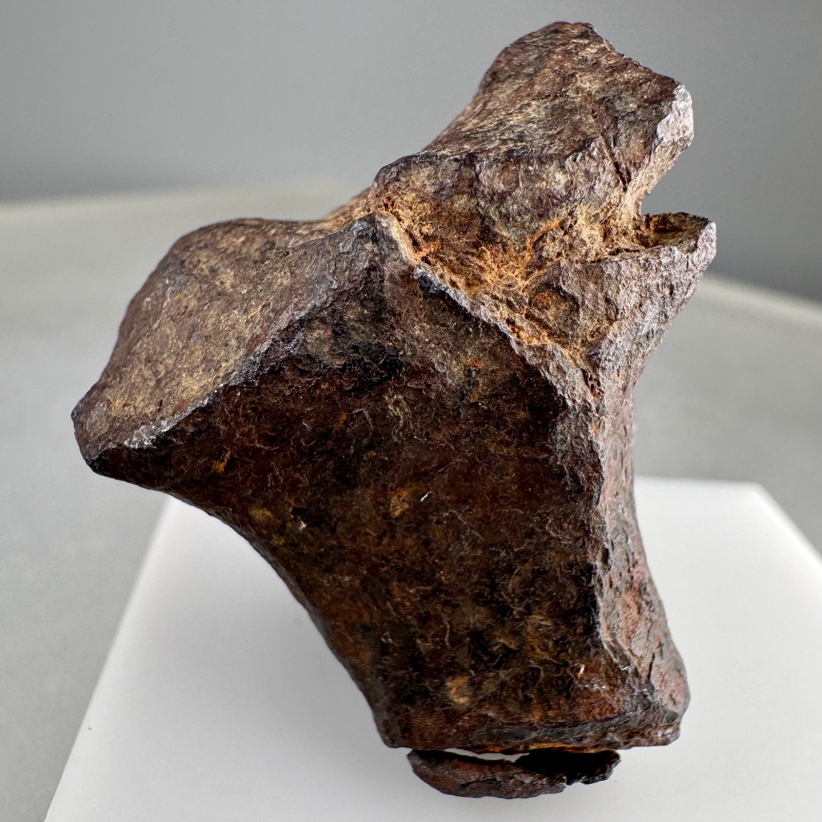 Iron Meteorite: Mundrabilla meteorite, Mundrabilla Roadhouse, Australia
