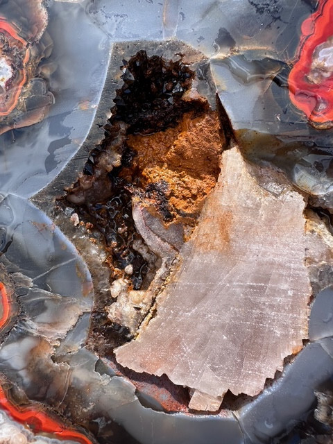 8 1/8”__Beautiful Imperial Kentucky Agate Slab from Estill County
