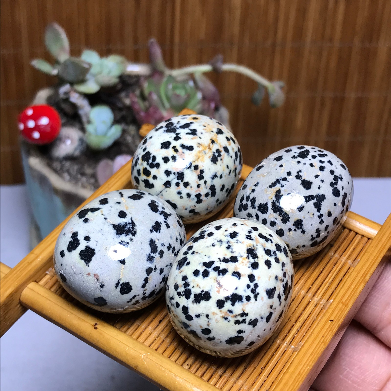 28-23-23mm 4Pcs Natural spotted stone Crystal gemstone Mineral Specimen A4404