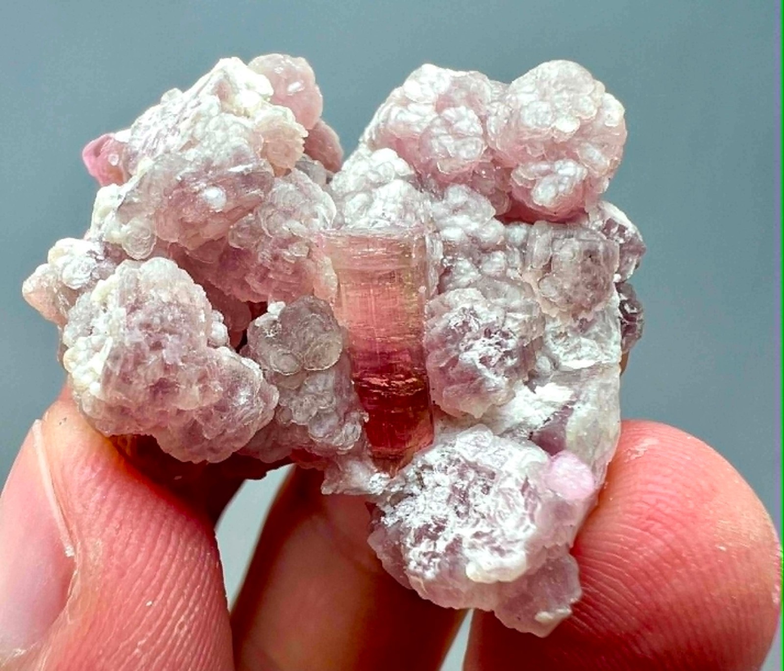 88 Carat Ultra Rare !!! Pink Color Tourmaline Crystals On Mica @Afg