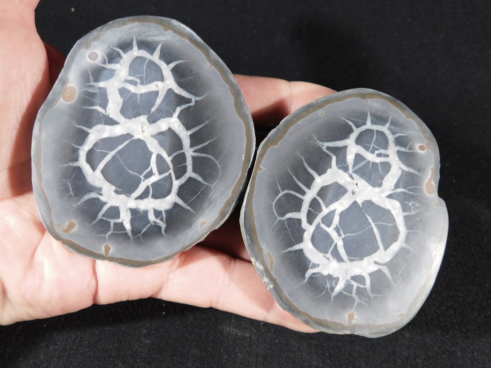 Larger! Cut and Polished SEPTARIAN Nodule 100% Natural Morocco 341gr