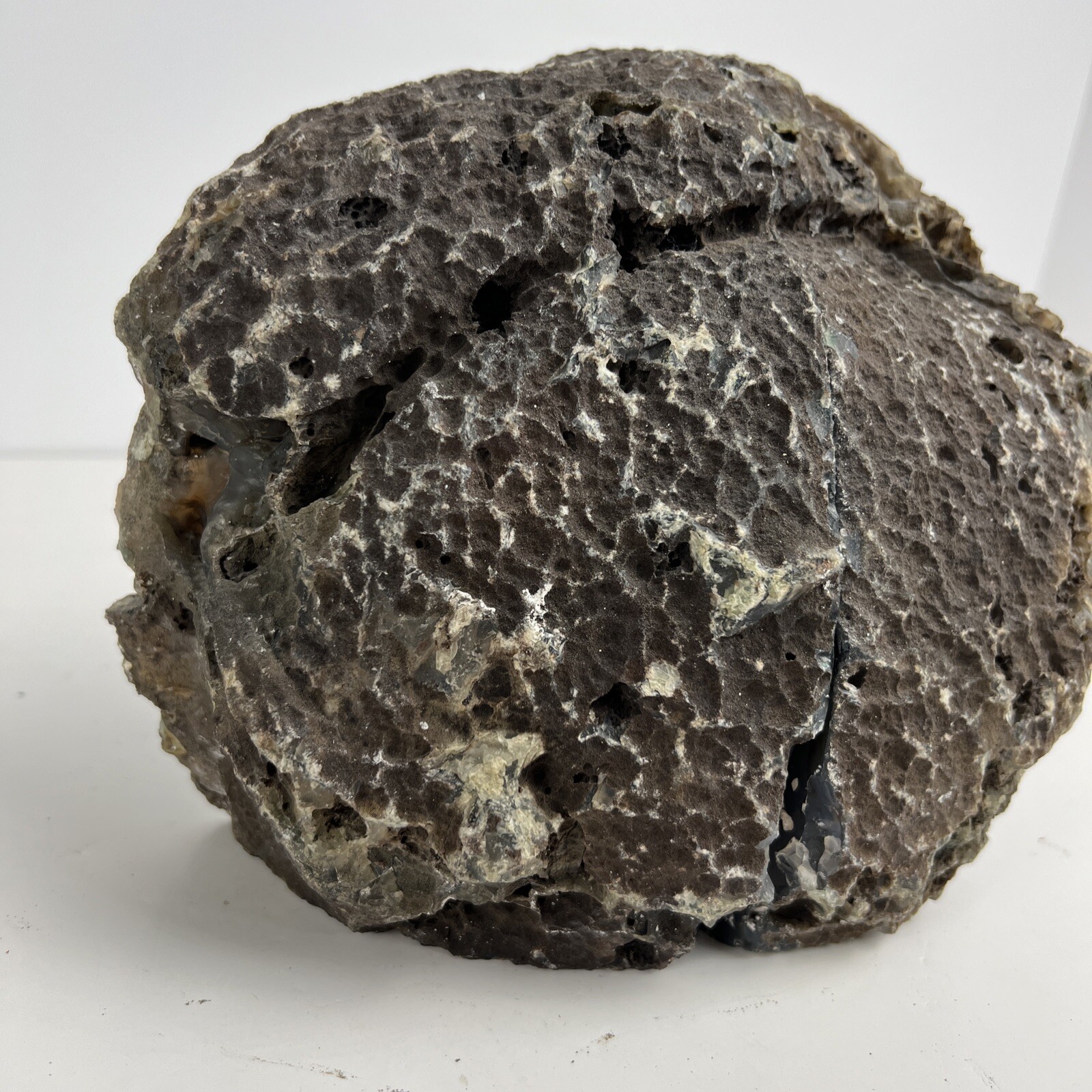 Geode Vibrant Beautiful Brazilian White Green Brown Agate Geode Bookends Rare
