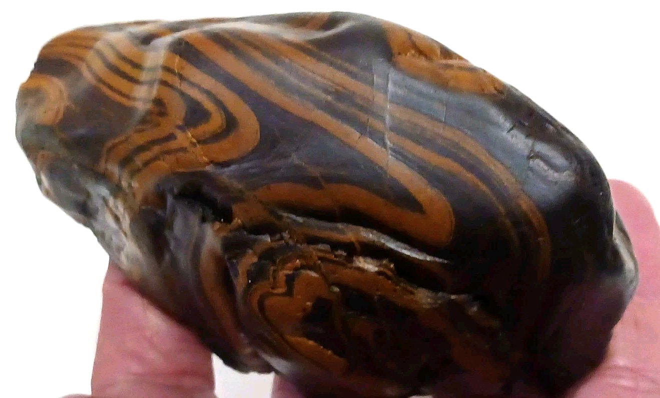 Rare Wyoming Banded Iron Formation BIF Display Rock Cut & Polished Display Tiger