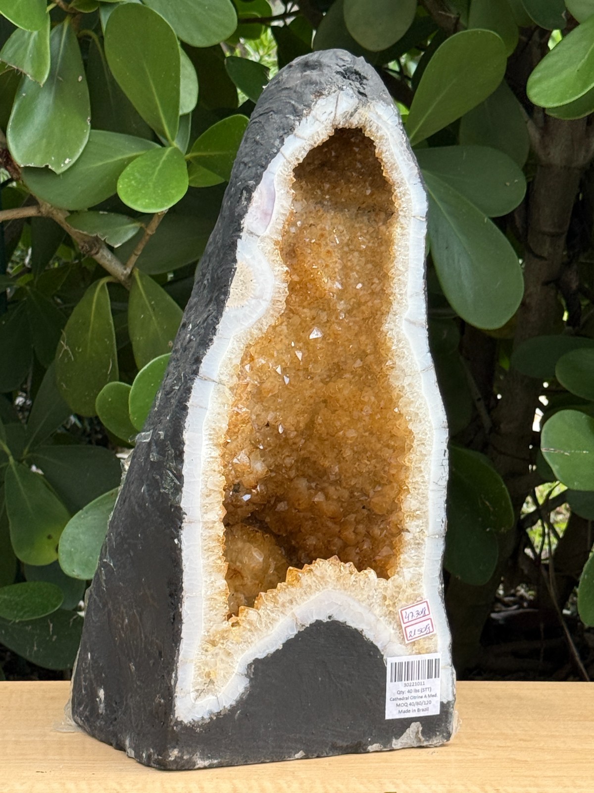 X-Large Citrine Cathedral, Citrine Geode, Honey Citrine Cluster, Pick a Weight