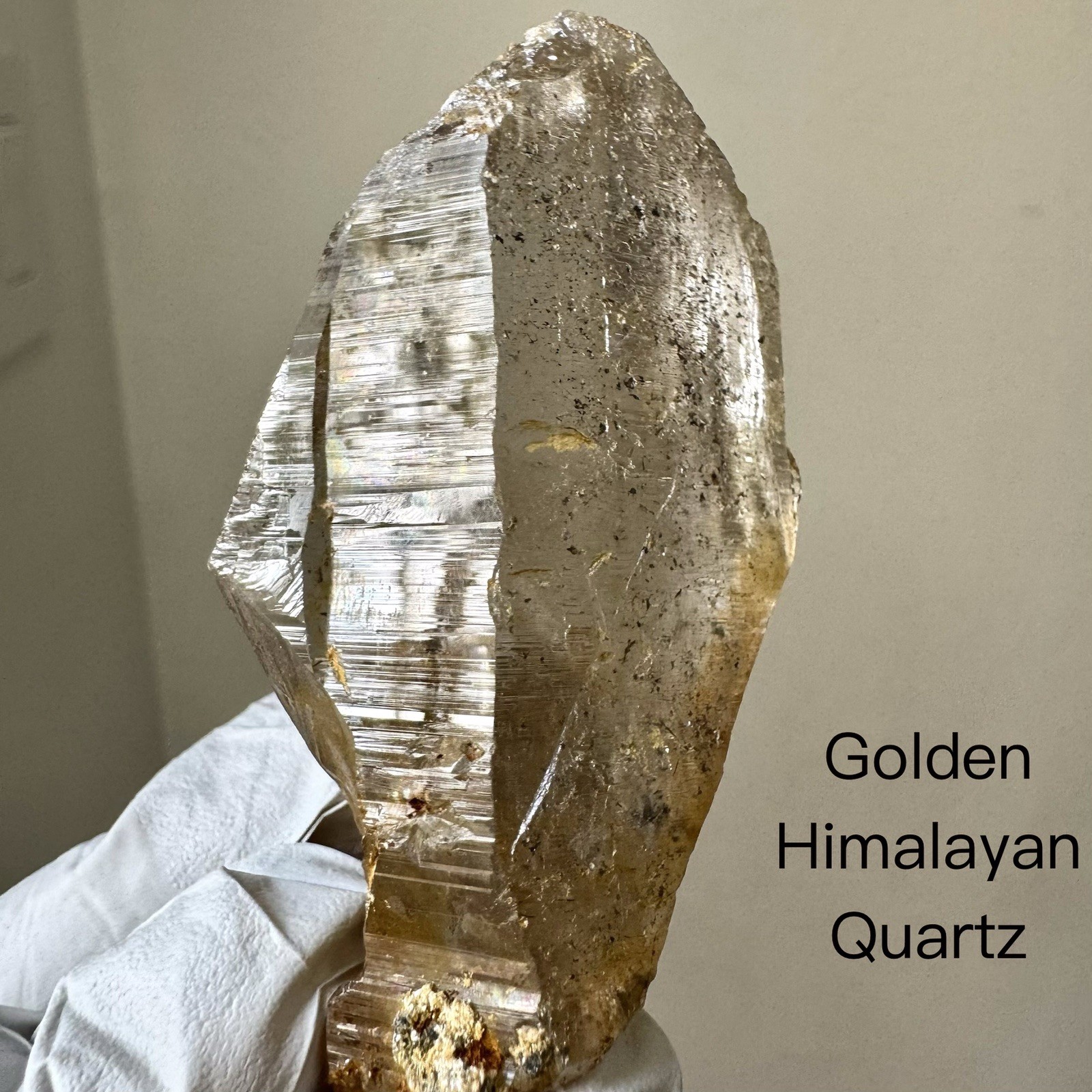 “Golden Comet” Ganesh Himalayan Quartz Secondary Growth Iron Oxide Nepal Crystal