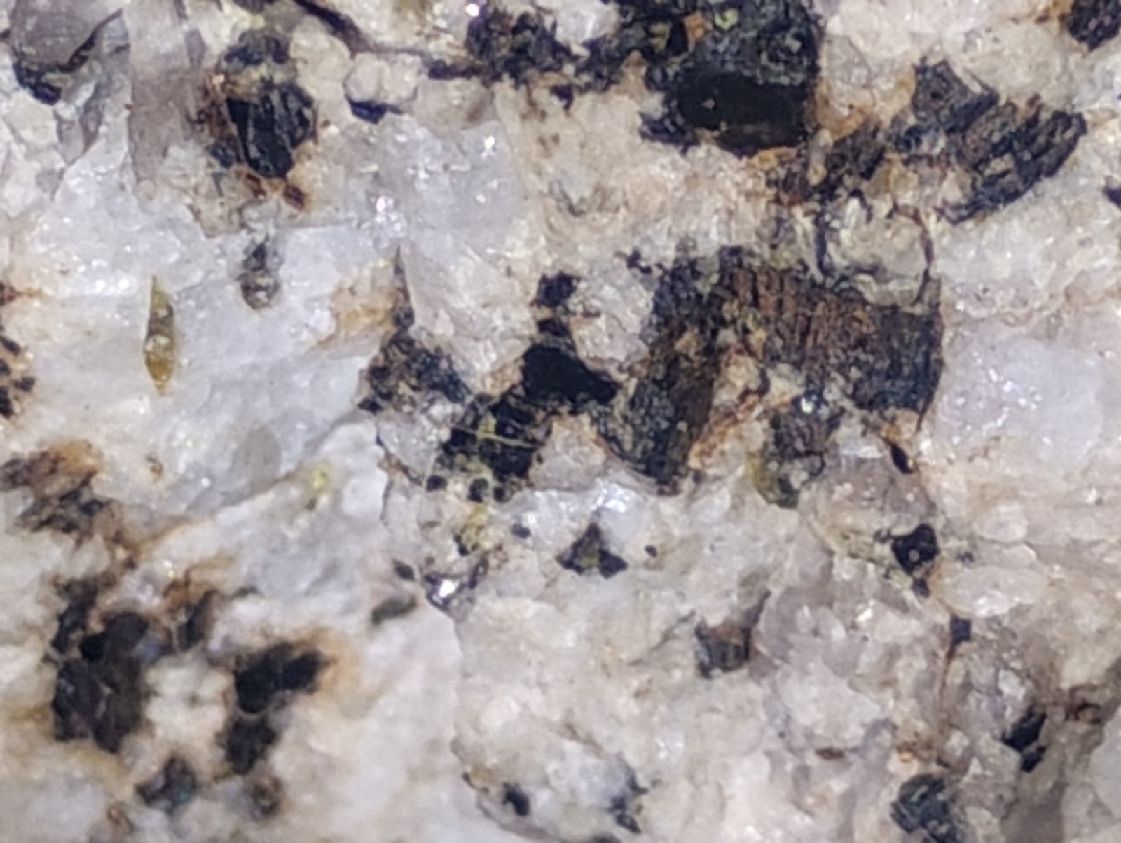 Polymetallic Ore Matrix Quartz, Pyrite & Silver/Black Sulfides – Blue Mountain?