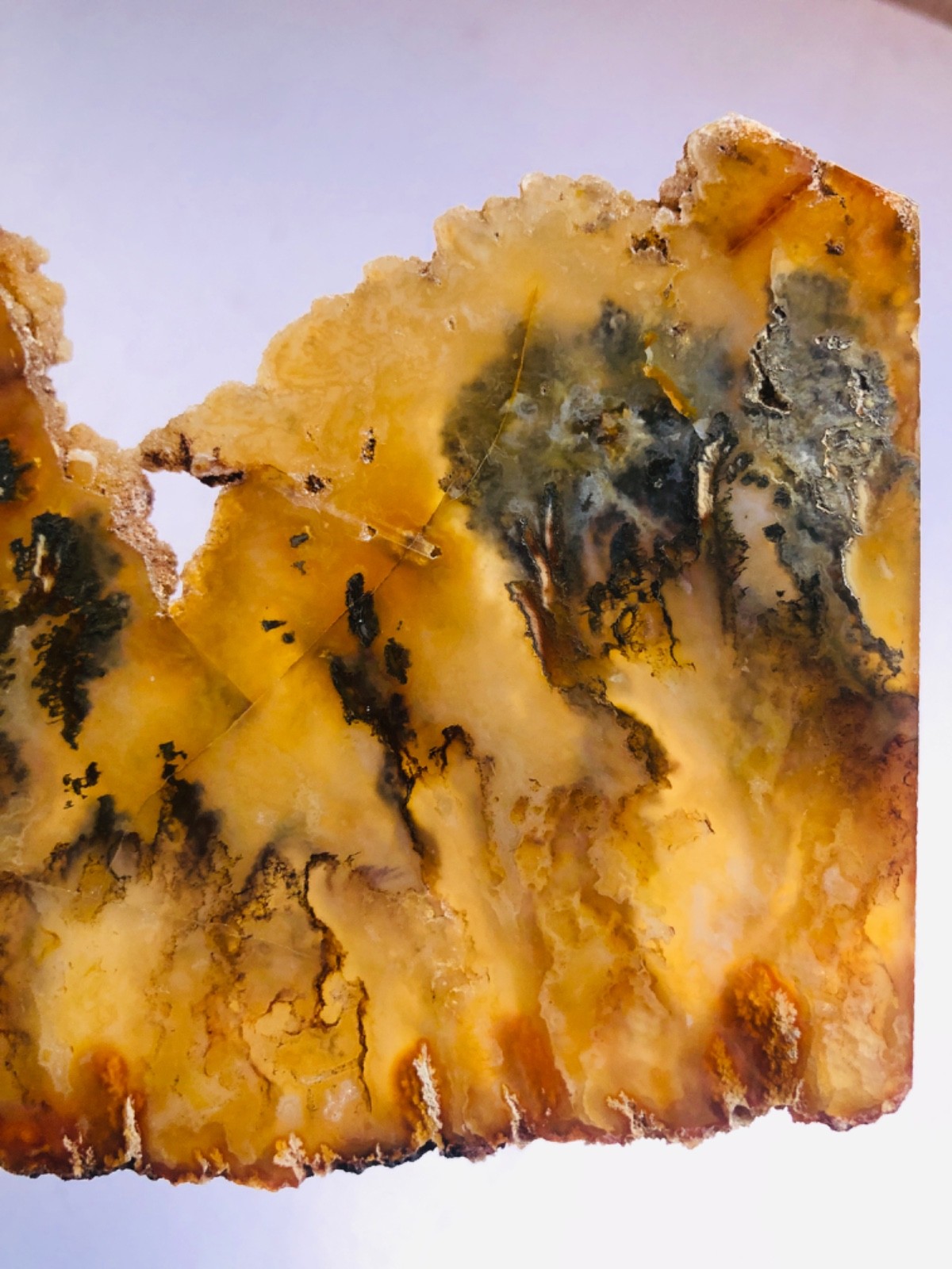 Graveyard Plume Agate Museum Grade Collectors Slab Oregon 202 Grams