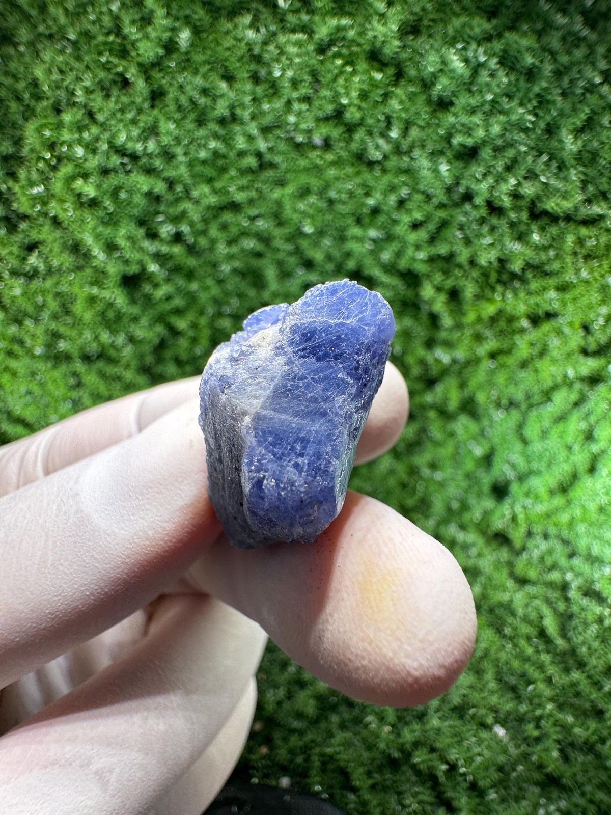Lovely TANZANITE Crystal with COLOR CHANGE under yellow/white light / N998