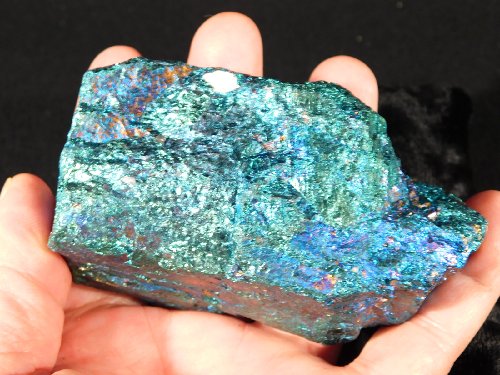 BIG! Bright IRIDESCENT Peacock Copper Chalcopyrite or Peacock Ore Mexico 578gr