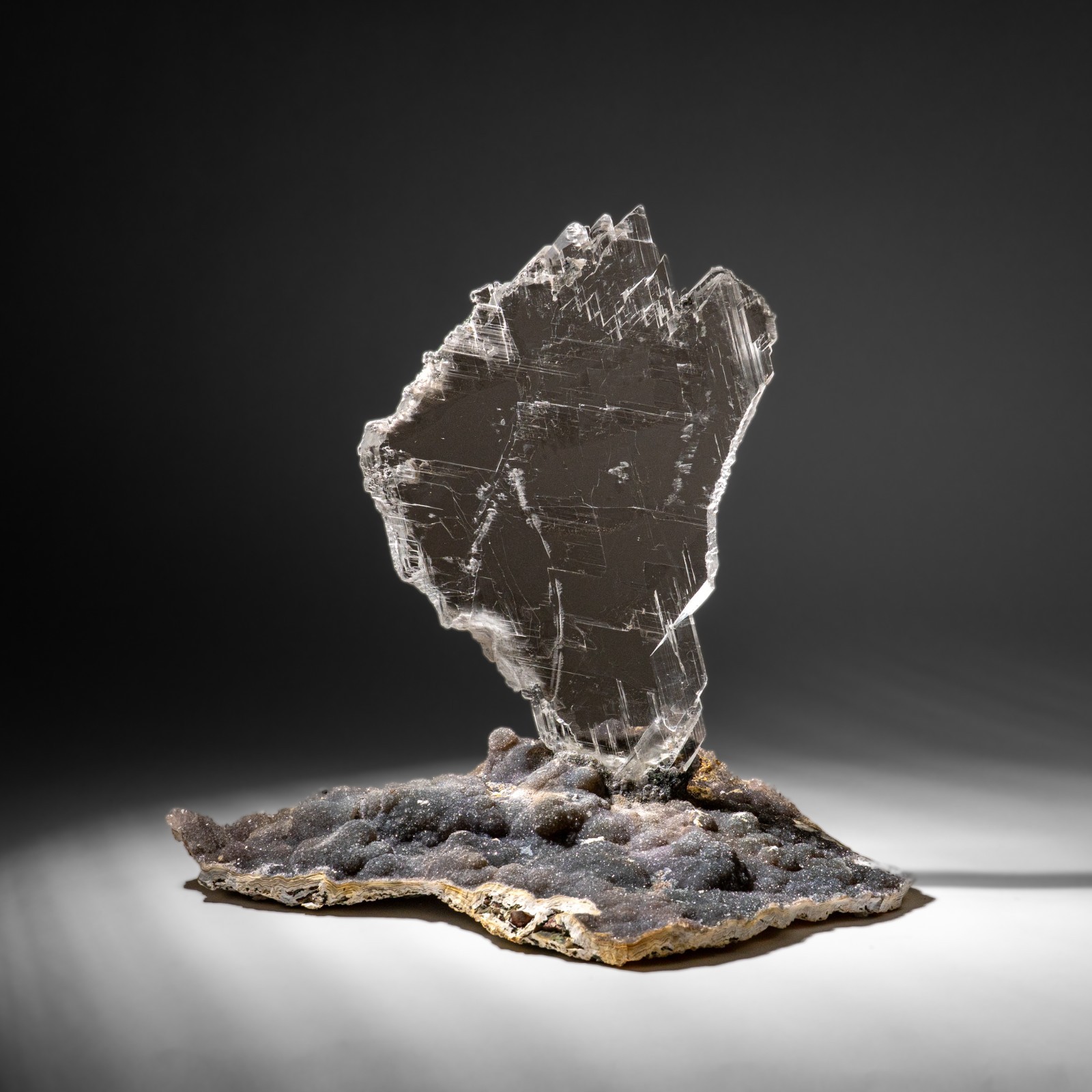 Gypsum Var. Selenite on Matrix from Rio Grande do Sul, Brazil (11.5 lbs)