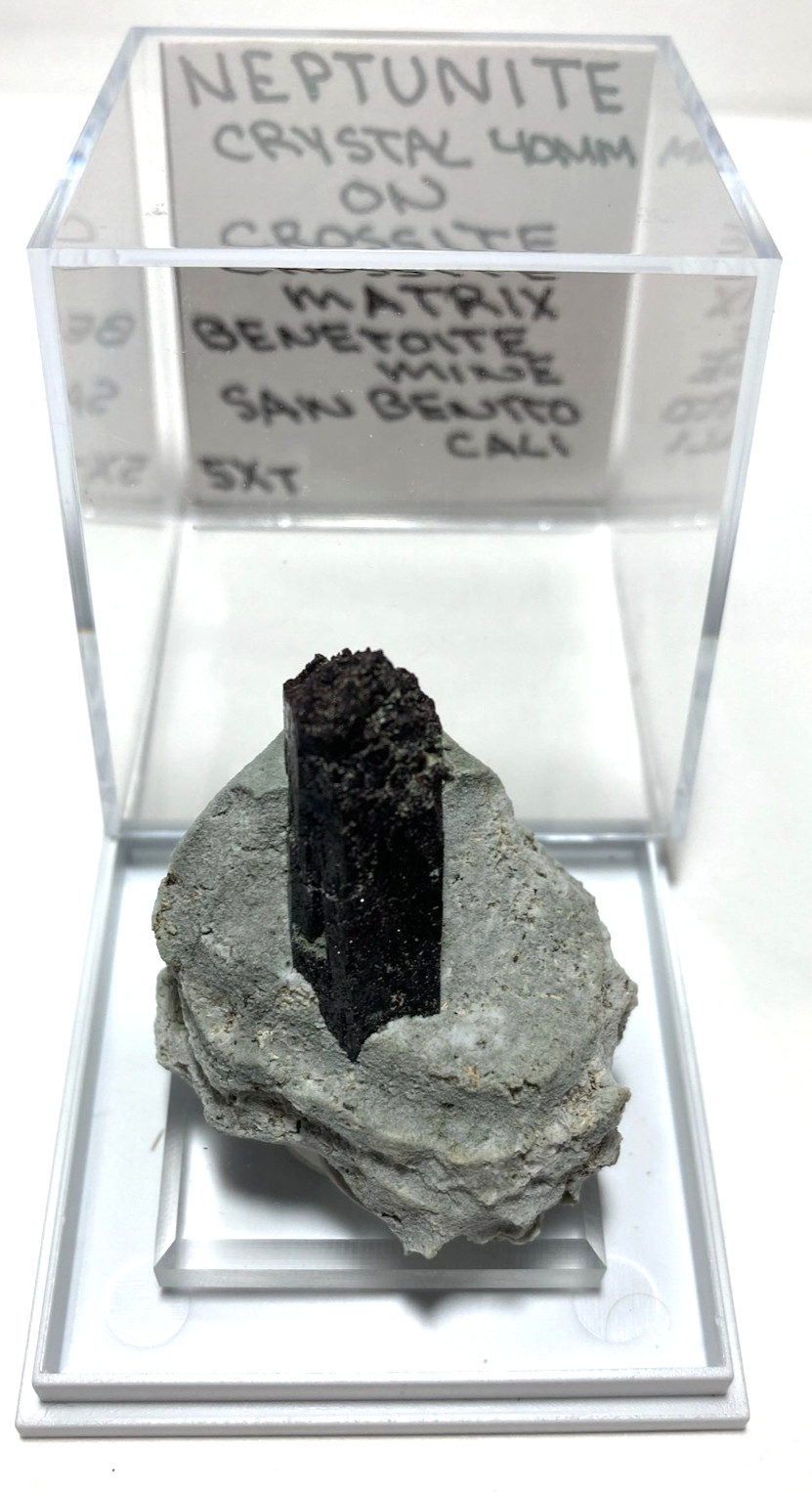 Stunning Neptunite 40mm crystal on Crossite matrix. San Benito California