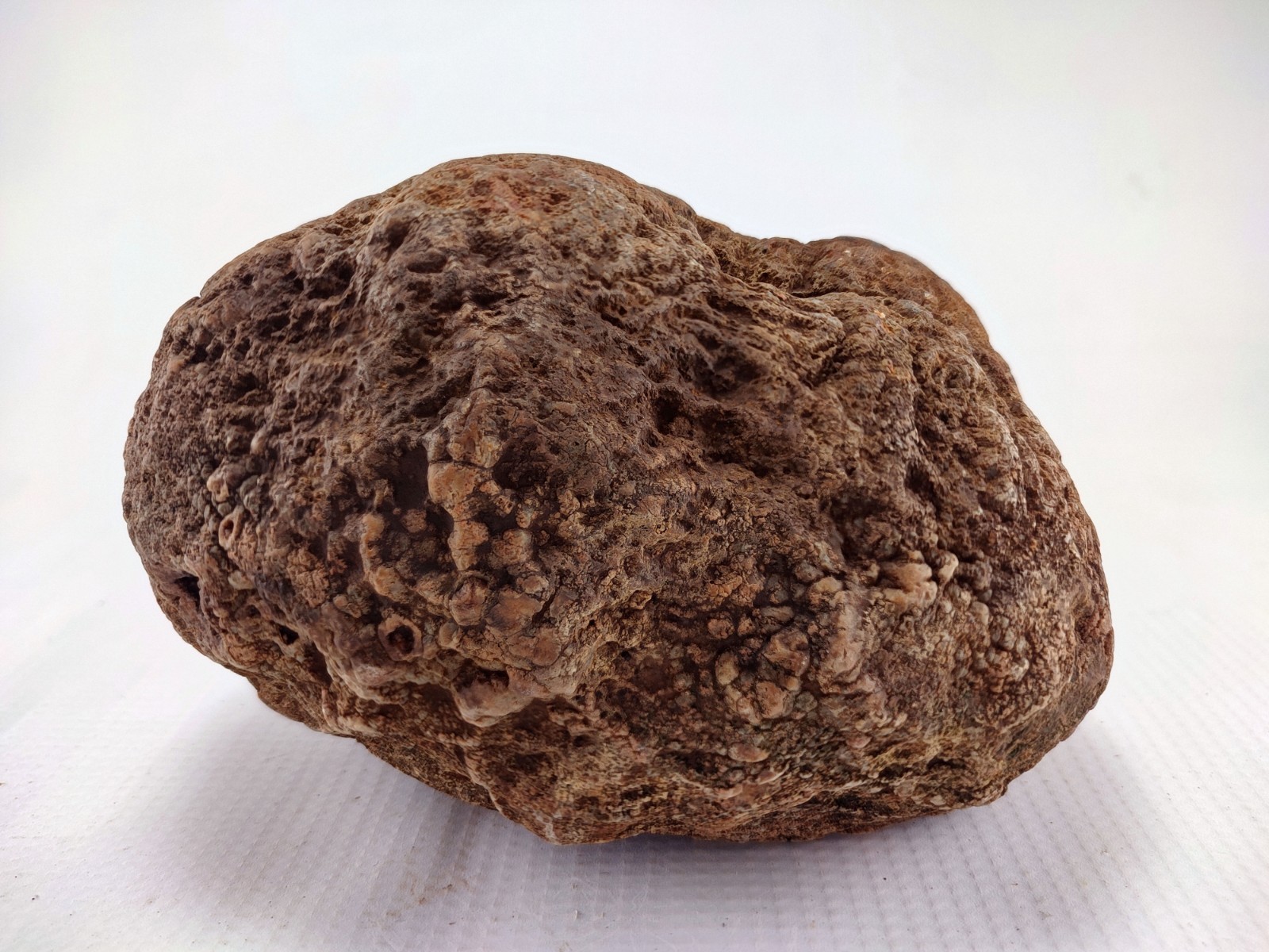 5.75″ Unopened Geode Localized Red Exterior KY Quartz Crystal 5 LB Non Rattler
