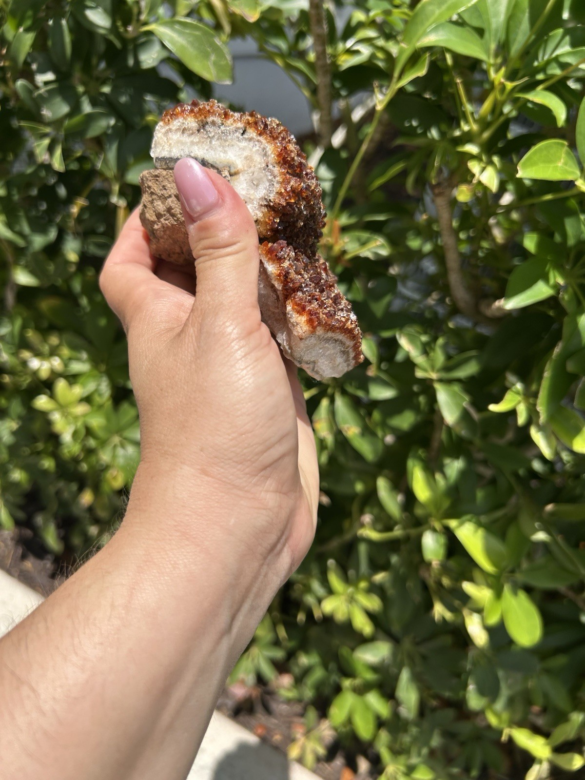 Natural Citrine Crystal Cluster – Sparkling Druzy Honey Quartz Specimen