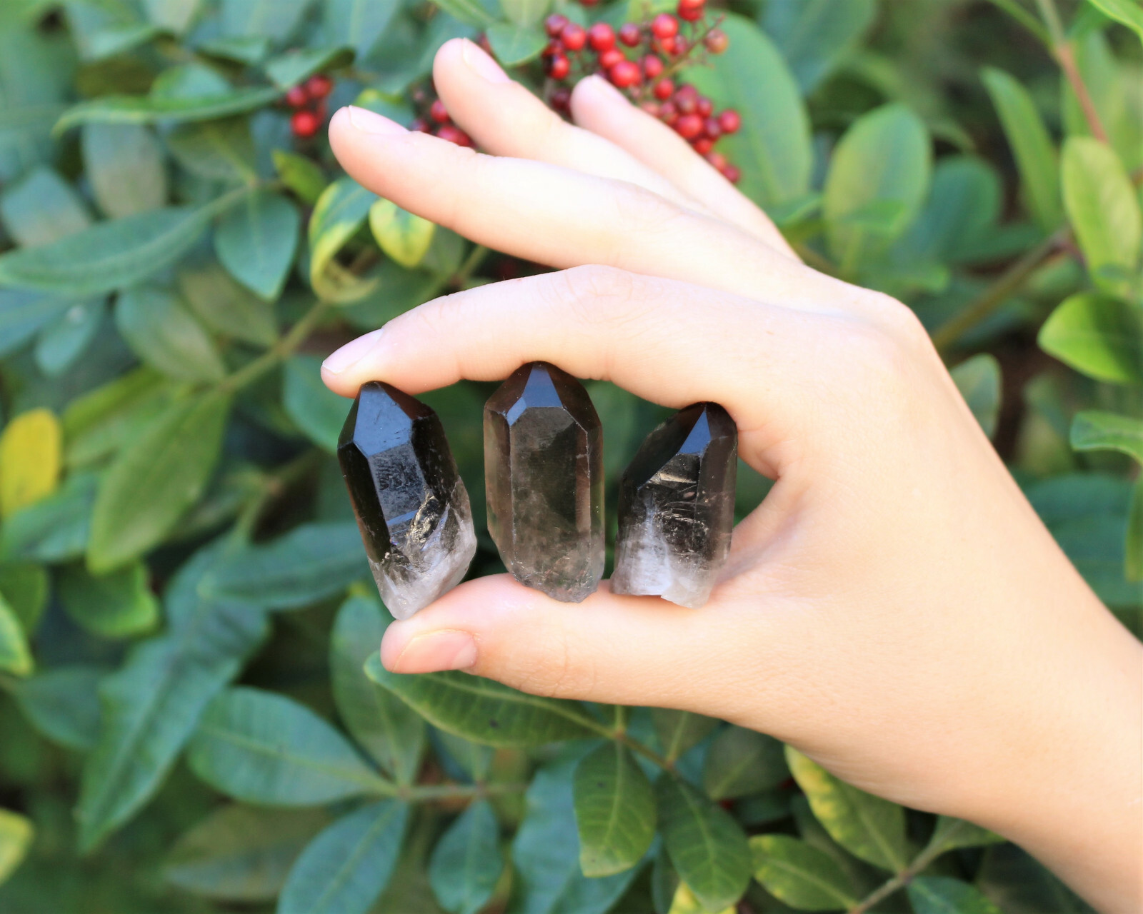 Smoky Quartz Crystal Points: 250 Carat Lot (50 Gram, Natural Smokey Quartz)