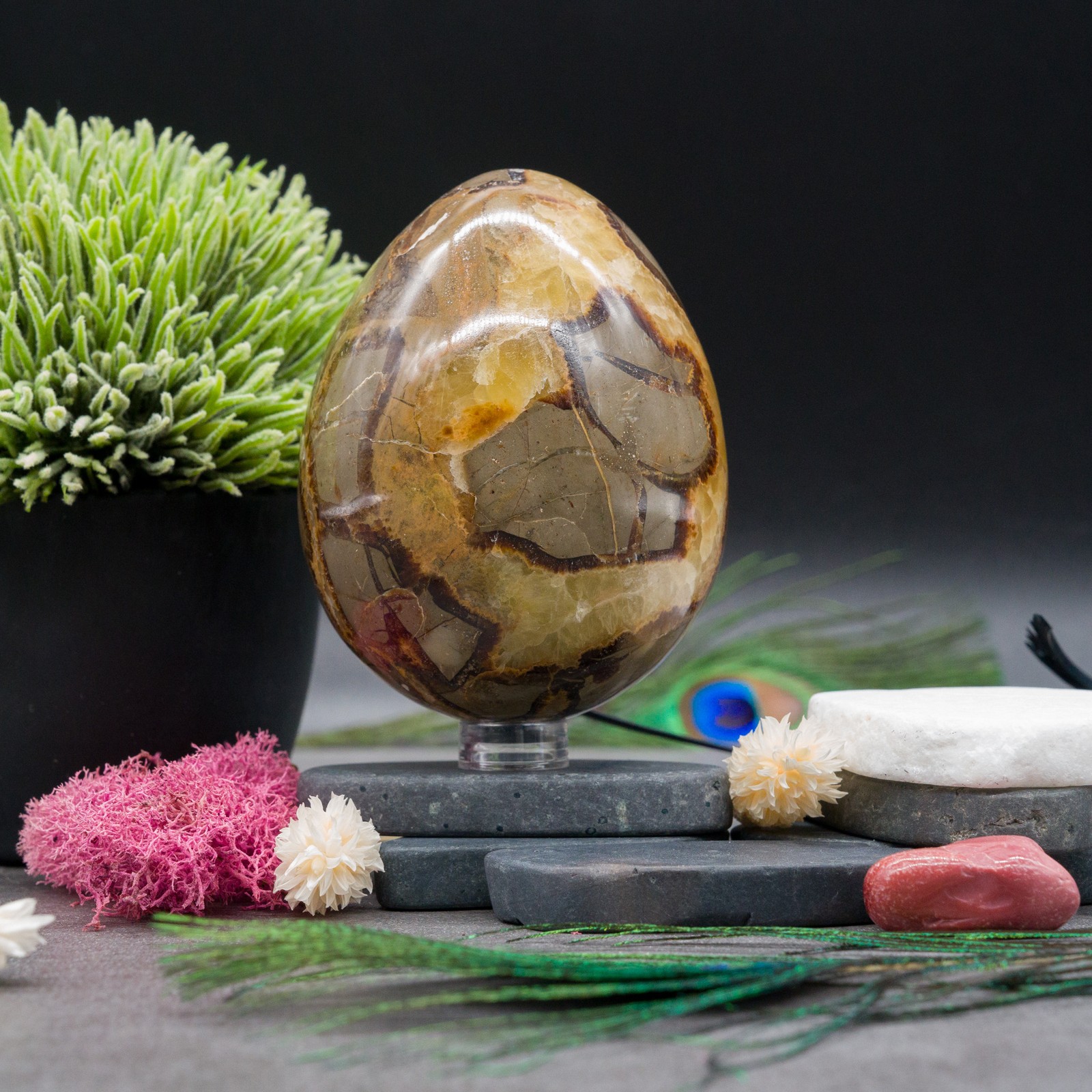Septarian Egg Crystal Decor Spiritual Protection Gift Dragon Stone Dinosaur Egg