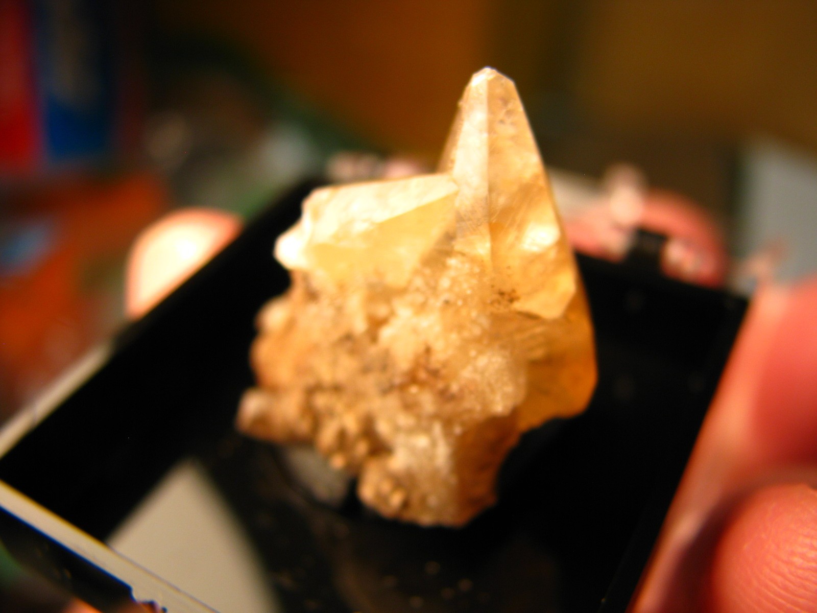 GOLDEN DOGTOOTH CALCITE CLUSTER THUMBNAIL IN CASE MARBLEHEAD QUARRY OHIO #224