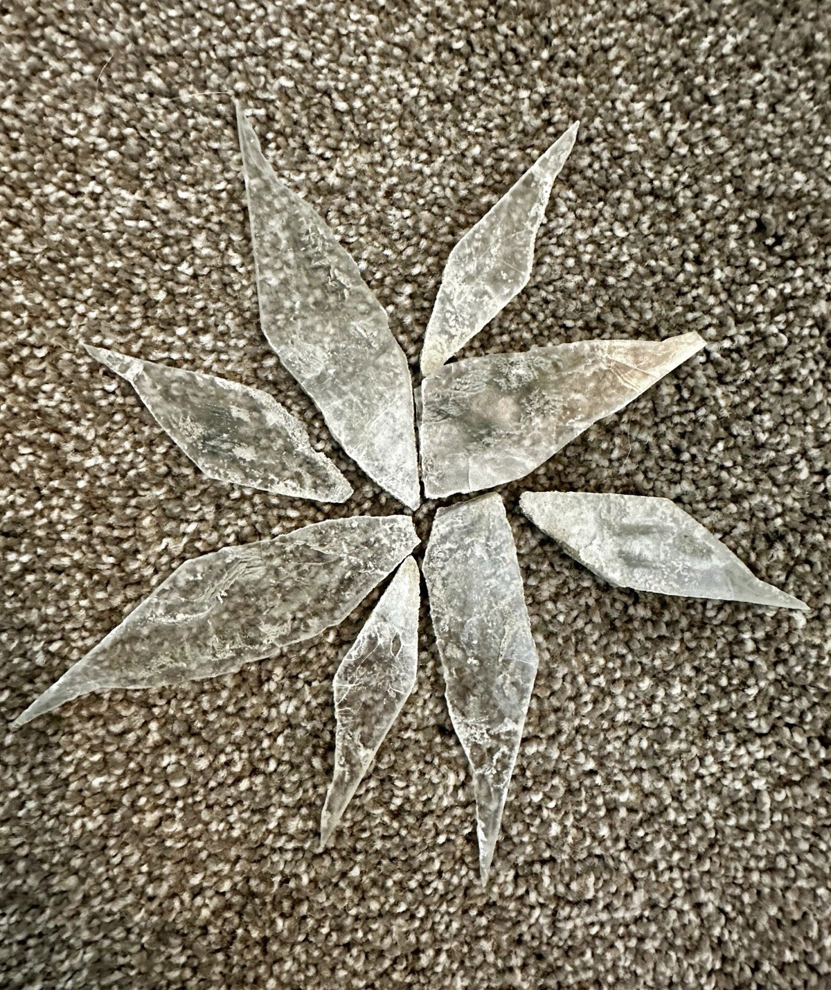 Gypsum/Selenite/Phantom Selenite SLICES/PIECES, Great Salt Lake, UT