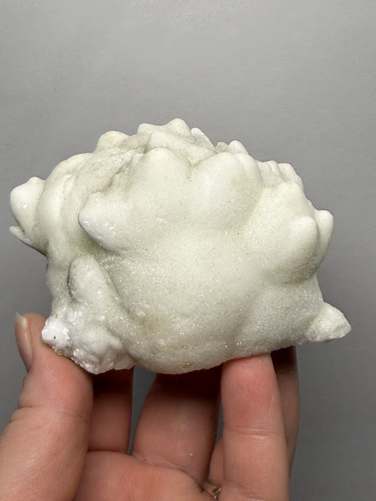Superb White Flos Ferri Aragonite “Flower of Iron” | Lom Vitošov, Czech Republic