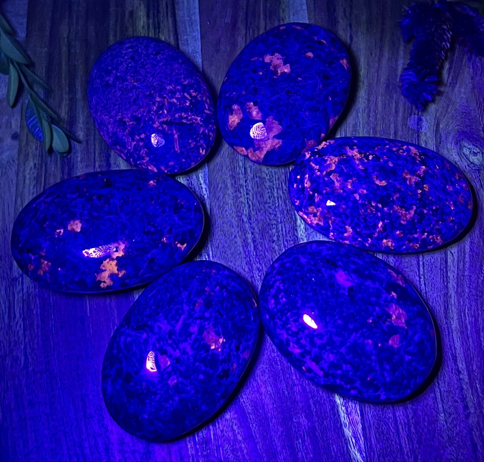 Wholesale Lot 6-8PCs Natural Emberlite Aka Yooperlite Palm Stone Crystal Healing