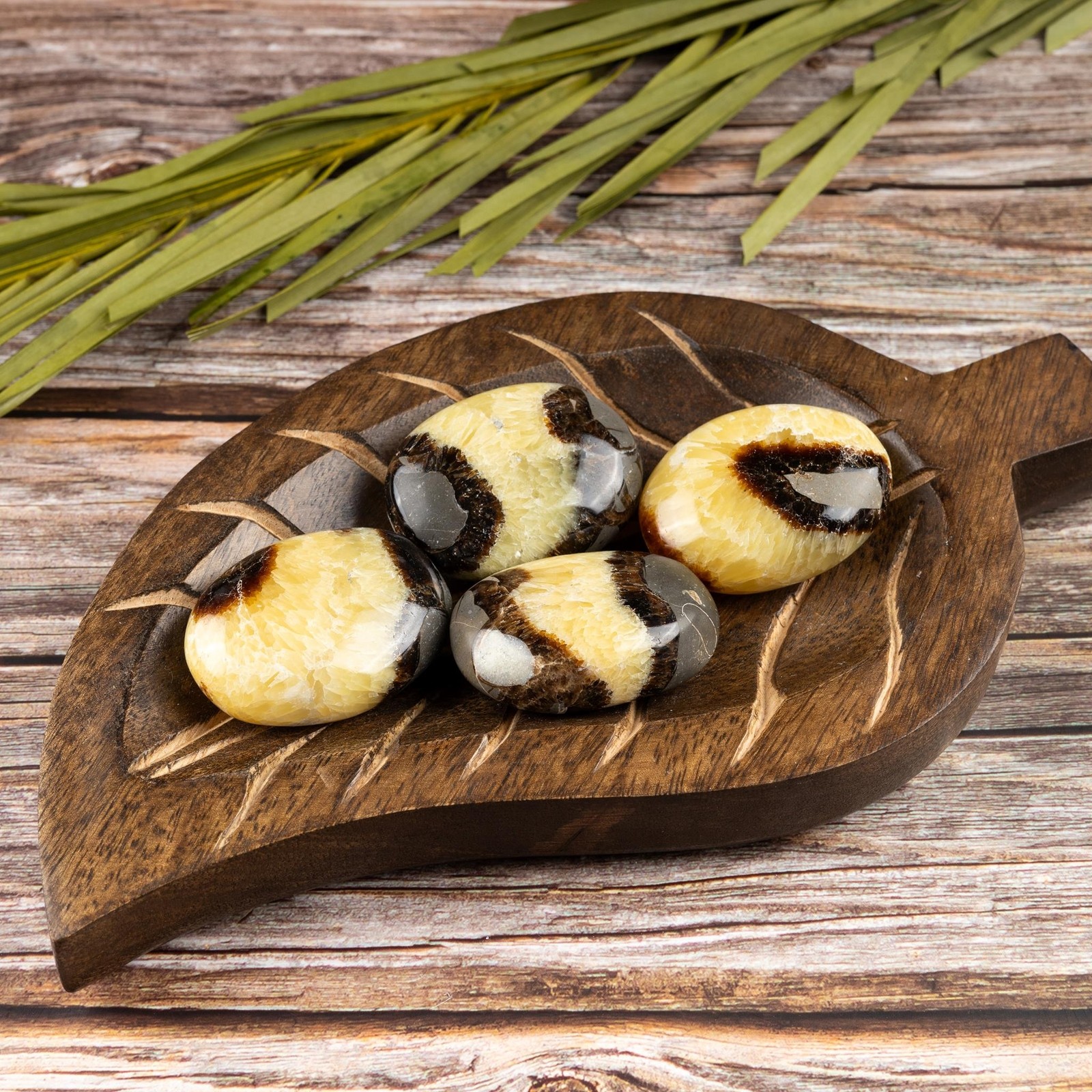 Septarian Palm Stone Crystal – Natural Healing Stone for Anxiety Relief & Medita
