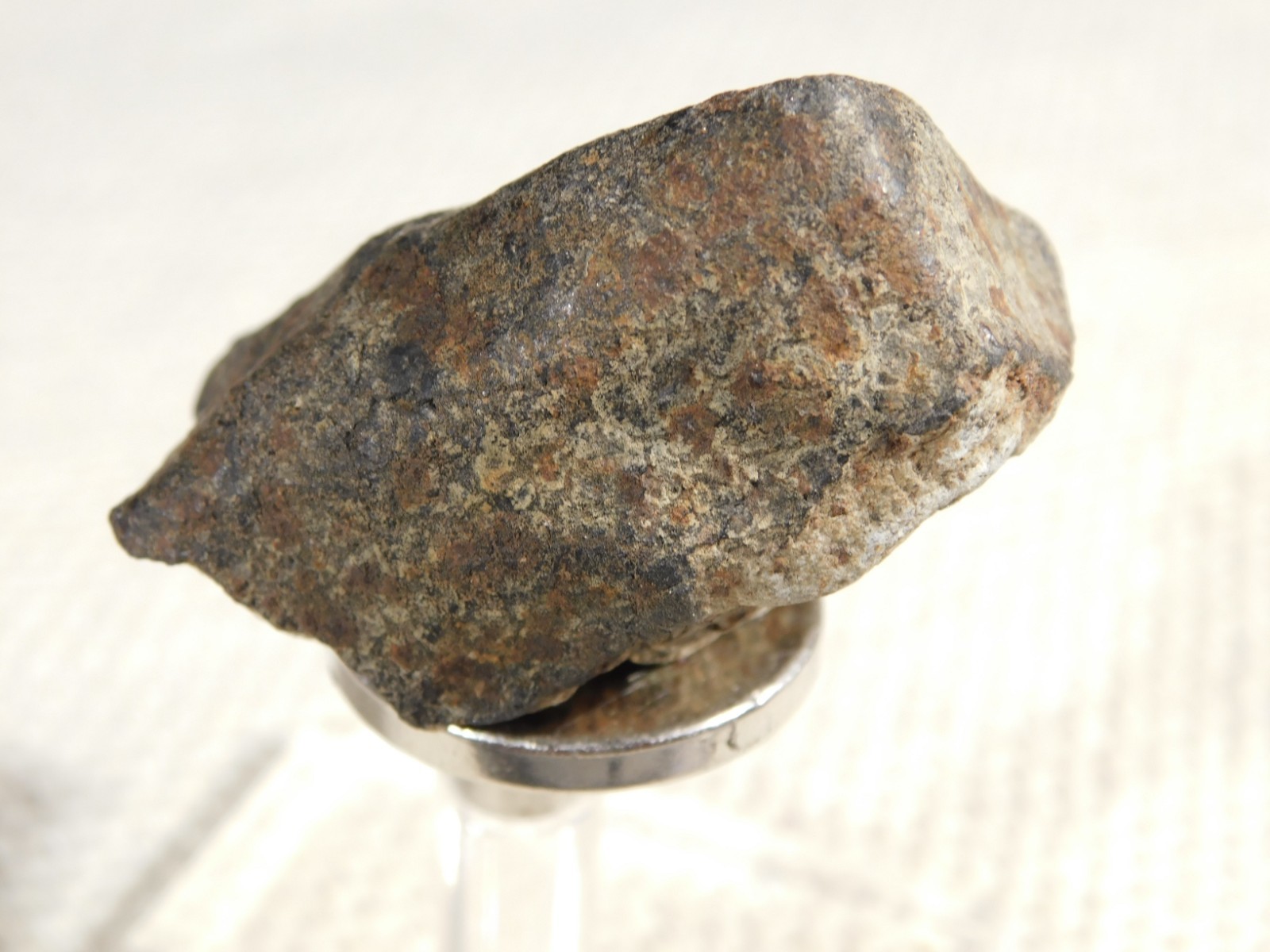 Classified NWA 8245 METEORITE 100% Natural FELL in Erfoud, Morocco 63.2gr