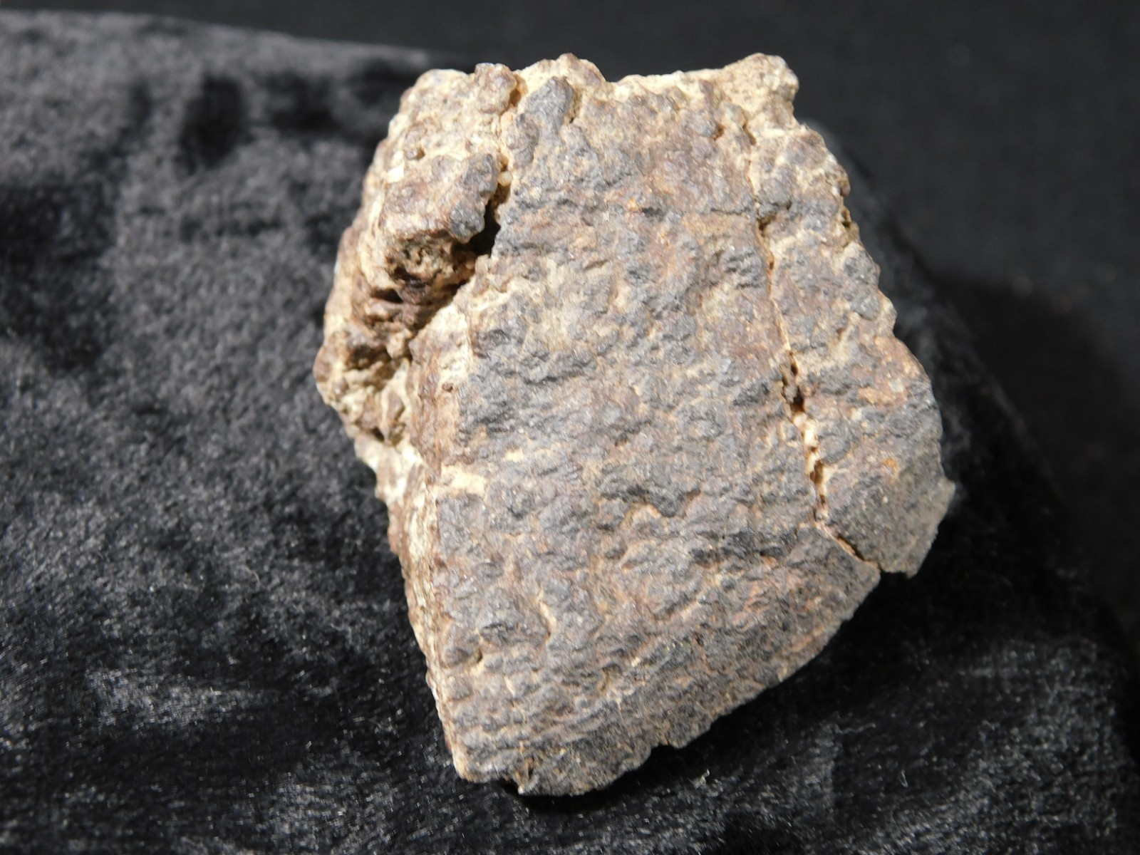Classified NWA 8245 METEORITE 100% Natural FELL in Erfoud, Morocco 65.9gr