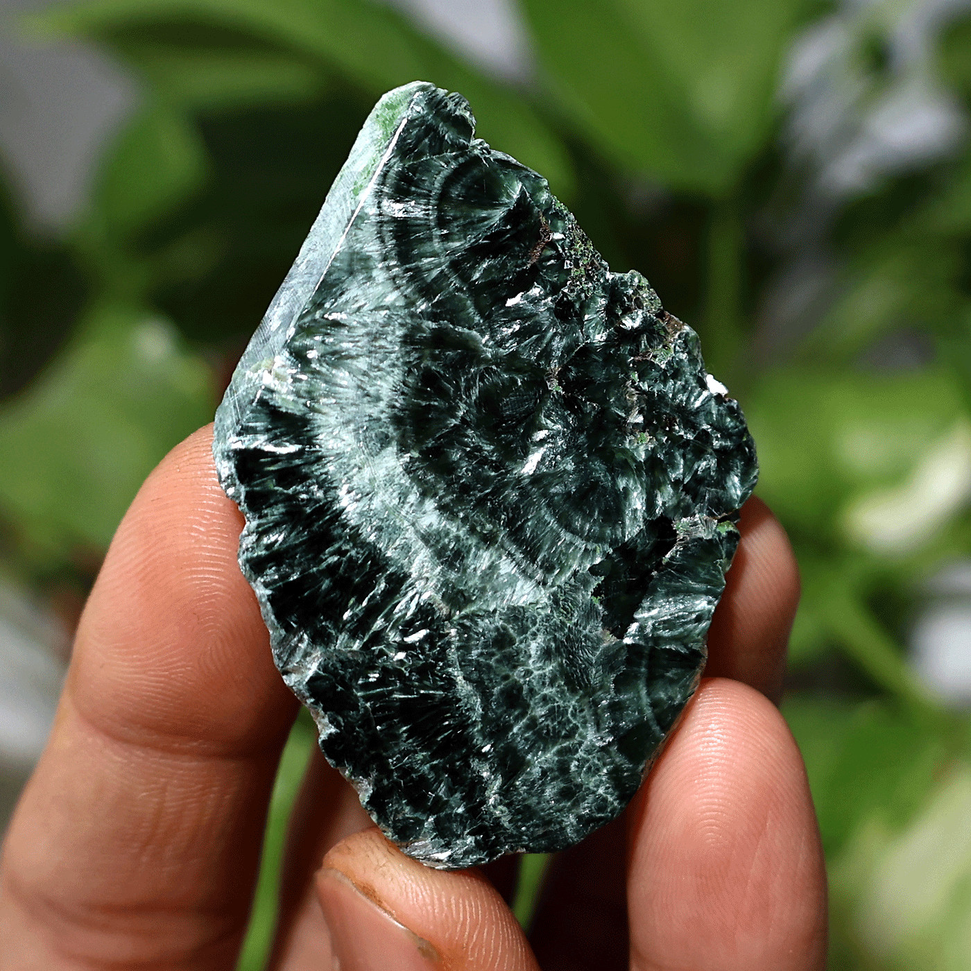 Angel Feathers~ 16.6g Natural Seraphinite Chatoyant Polished Palm Crystal Slab