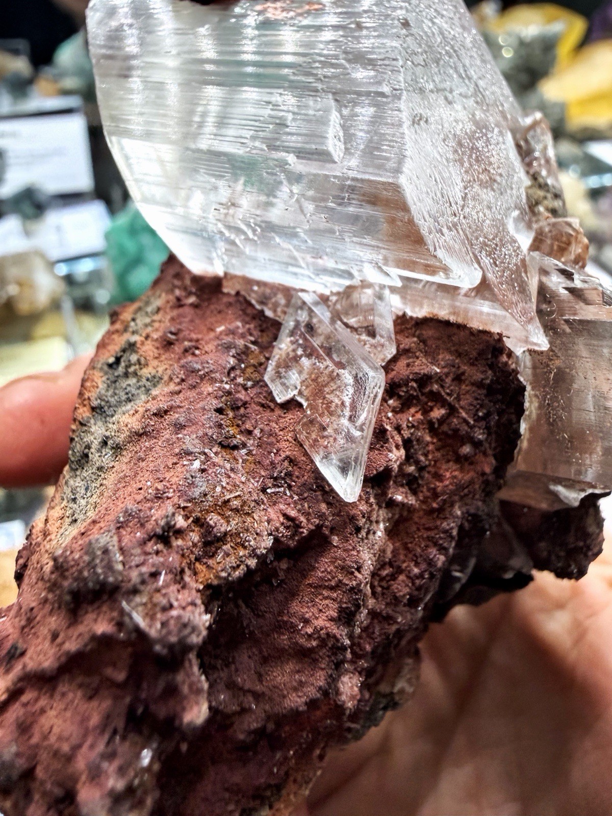 Gypsum Var. Selenite From Chihuahua, Mexico