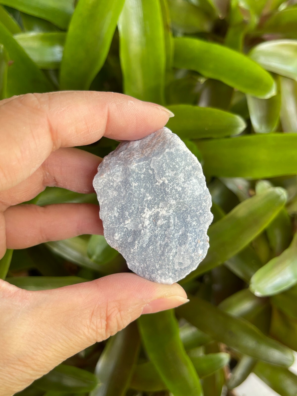 Angelite Raw Stone 1.5-2 Inches, Natural Rough Angelite, Wholesale Bulk Lot