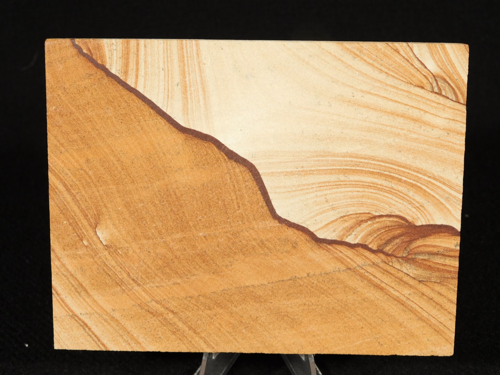 PICTURE Stone or SANDSTONE Slab with Display Stand From Utah 241gr