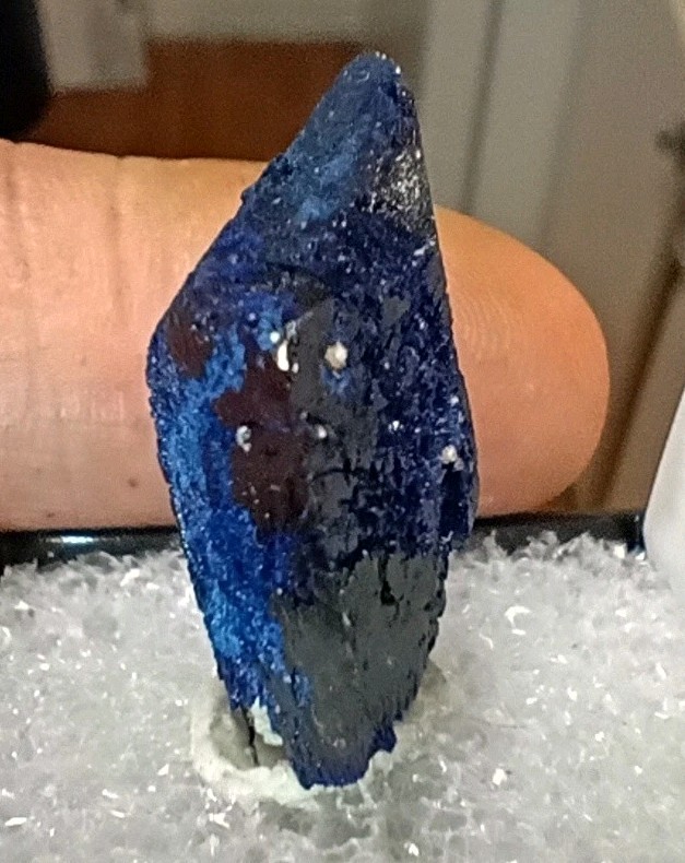 Beautiful Azurite Crystal, Kerrouchen Mine Morocco In 1.5″ Display Box.