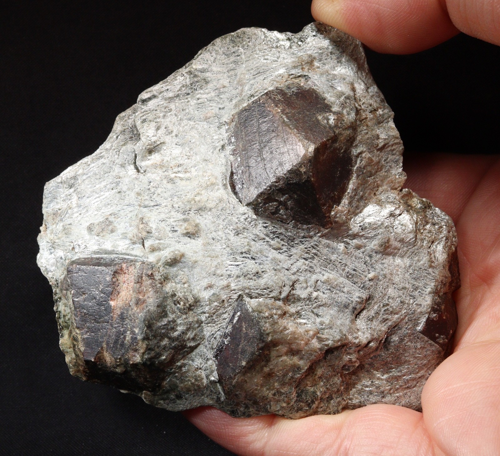 Large Almandine Garnet Crystals in Mica Schist from Tyrol, Austria