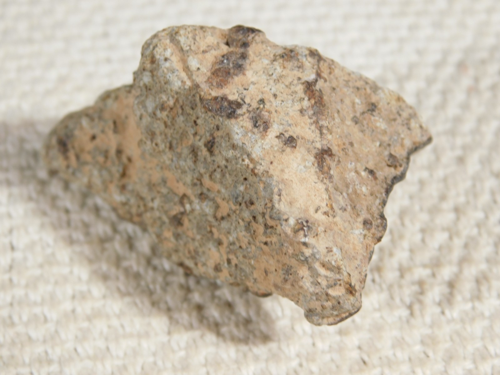Classified NWA 8245 METEORITE Spots of Dark Fusion Crust! Erfoud, Morocco 55.4gr