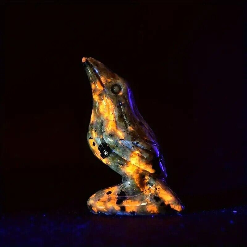 Natural Yooperlite Carved Raven Statue Home Decor UV Reactive Gemstone Healing