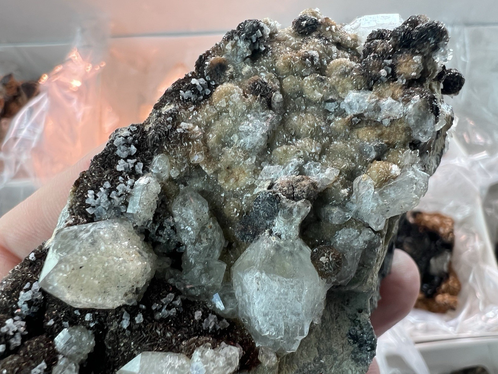 12 Quartz & Siderite Specimens – Potosí Mine, Santa Eulalia, Chihuahua, Mexico