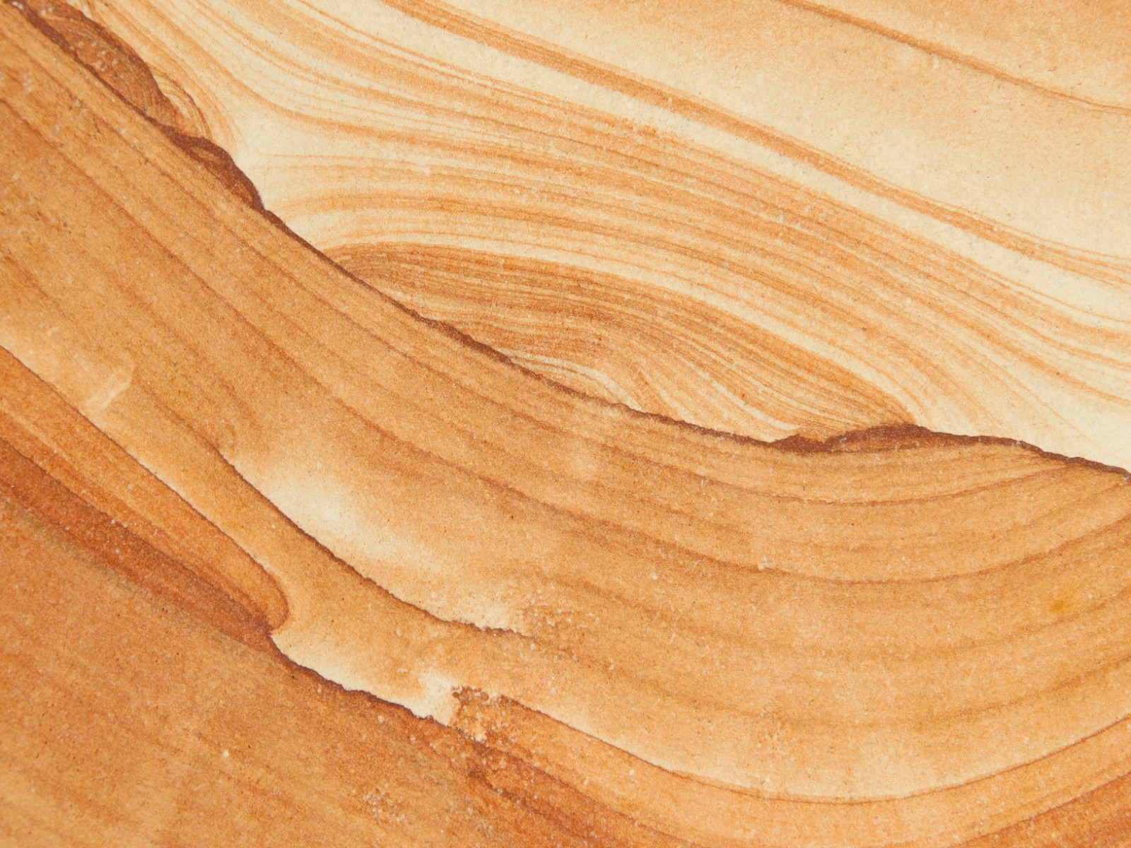 wOw! LARGER PICTURE Stone or SANDSTONE Slice/Slab with Display Stand Utah 541gr