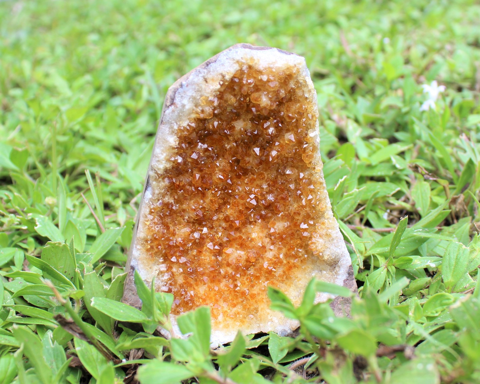 Citrine Cut Base Clusters – ‘A’ Grade Free Standing Citrine Crystals From Brazil