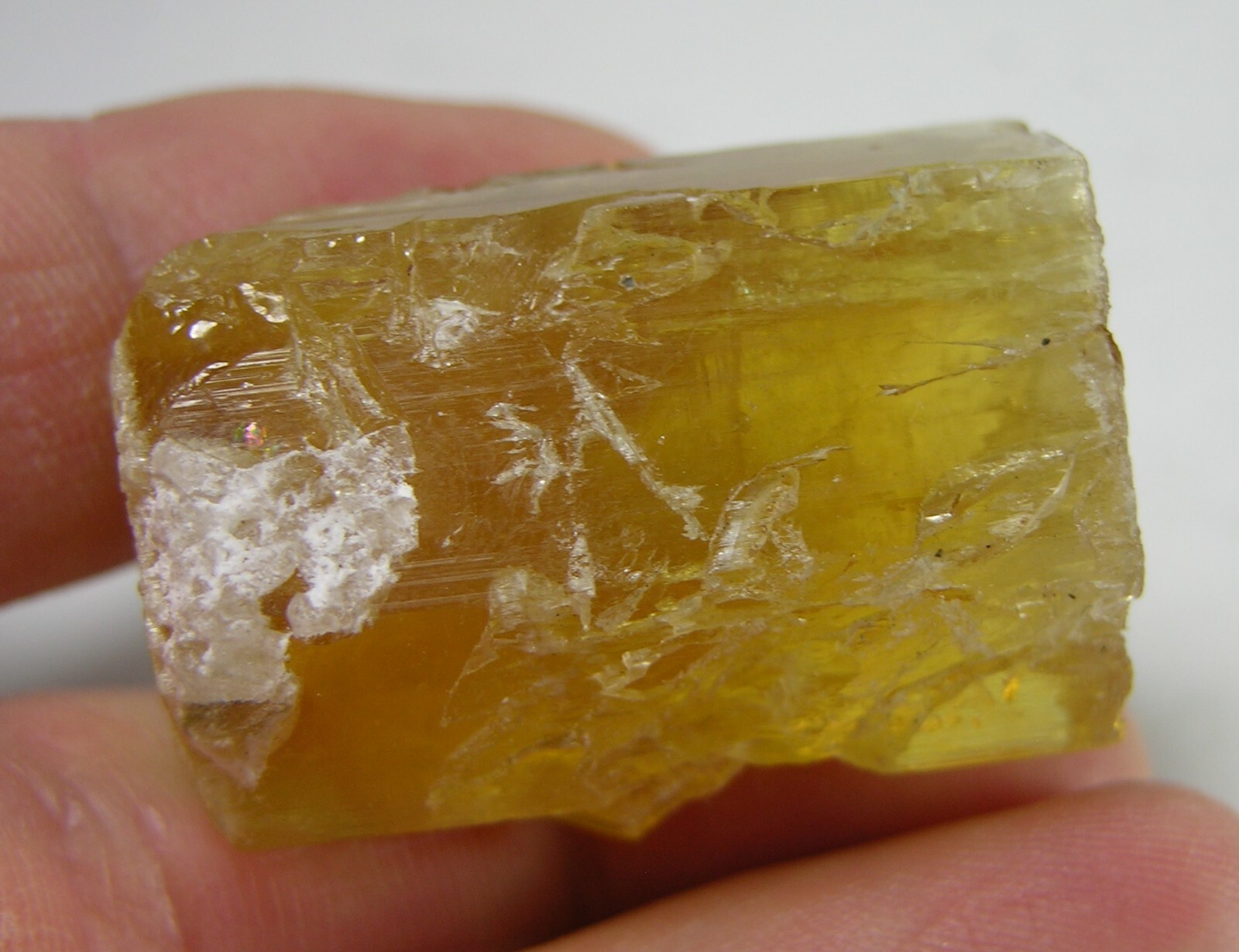 162.25ct Pakistan Terminated Raw Rough Beryl Heliodor Crystal Specimen 32g 36mm