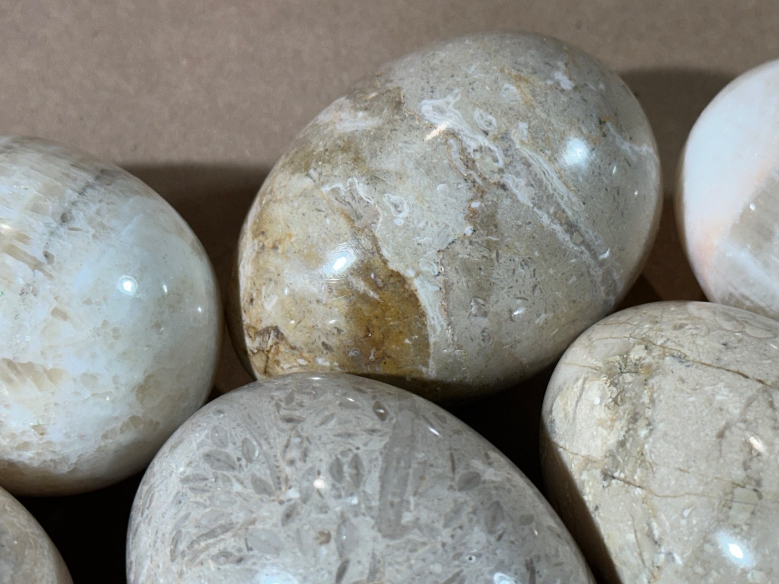 Lot of 10 Fossil Coral / Fossiliferous Limestone Polished Gemstone Eggs 2.75” –