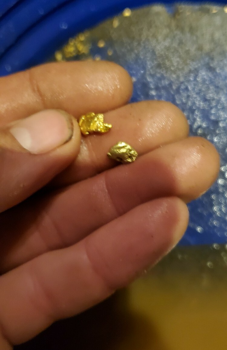 1 GRAM BONUS NUGGETS California Gold Panning Paydirt Trommel Concentrates