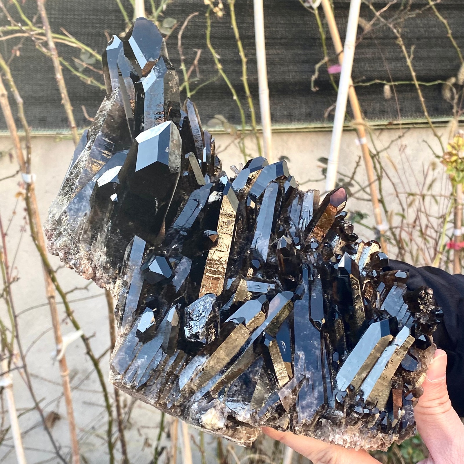 5.25LB Large Natural black Quartz Crystal Cluster Rough Specimen Healing Stone.