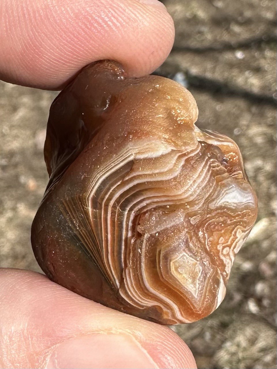 2.0oz Lake Superior Agate Bundle Of Natural Beauties!