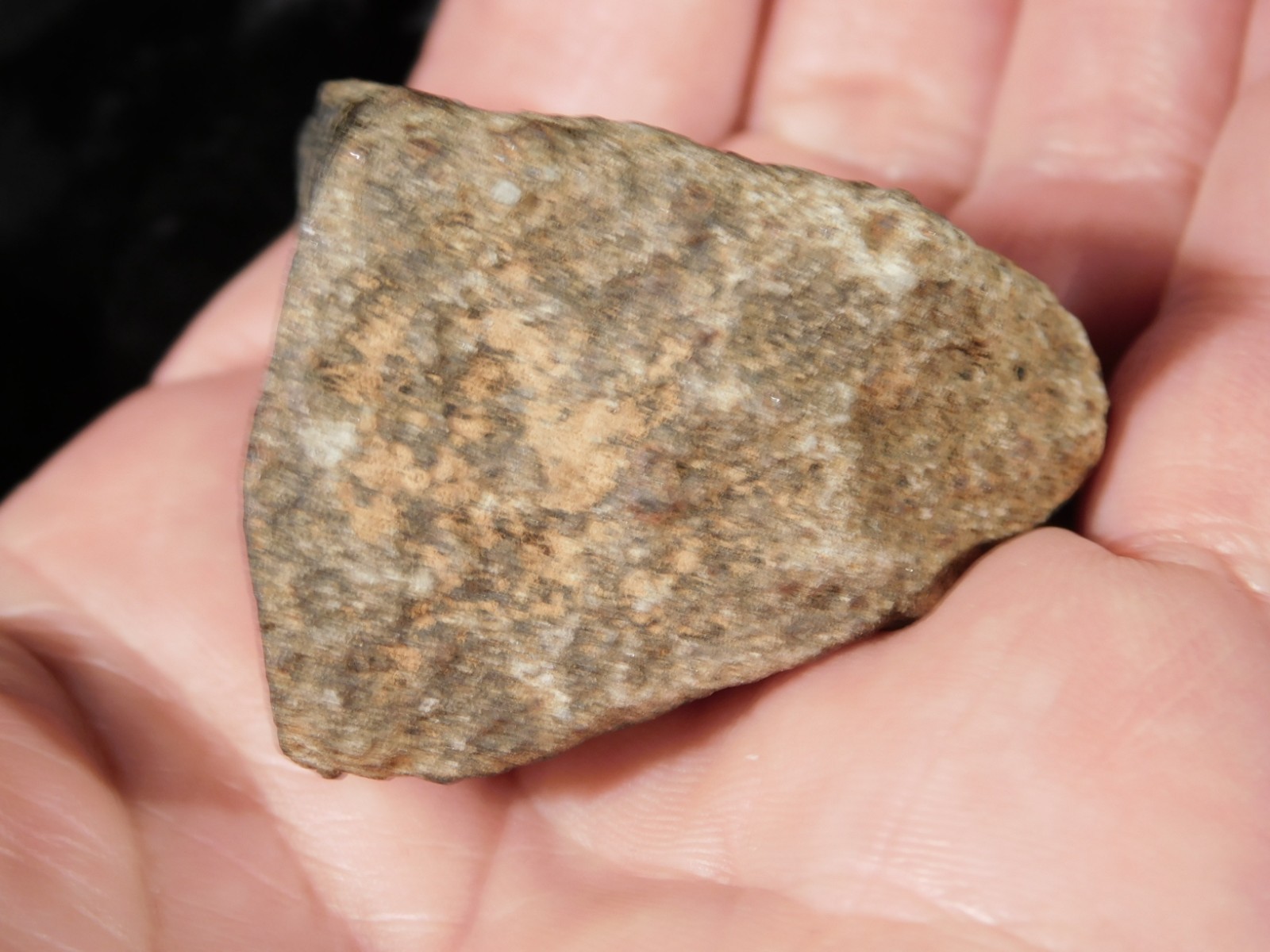 Classified NWA 8245 METEORITE Spots of Dark Fusion Crust! Erfoud, Morocco 74.5gr