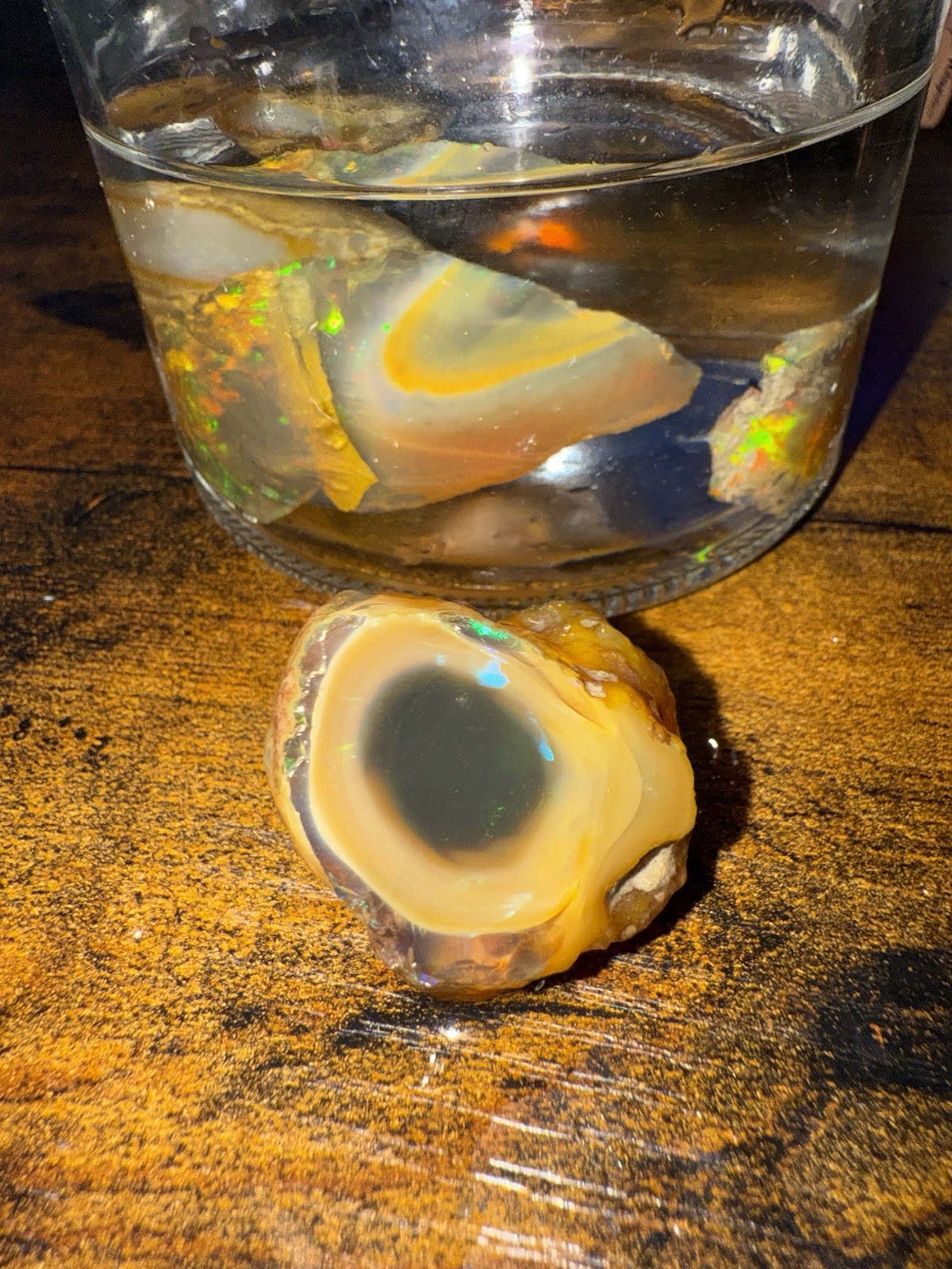 Specimen Rough Opal Stones in Jar – Ethiopian Rough, Multiple Mixed-Color Pieces