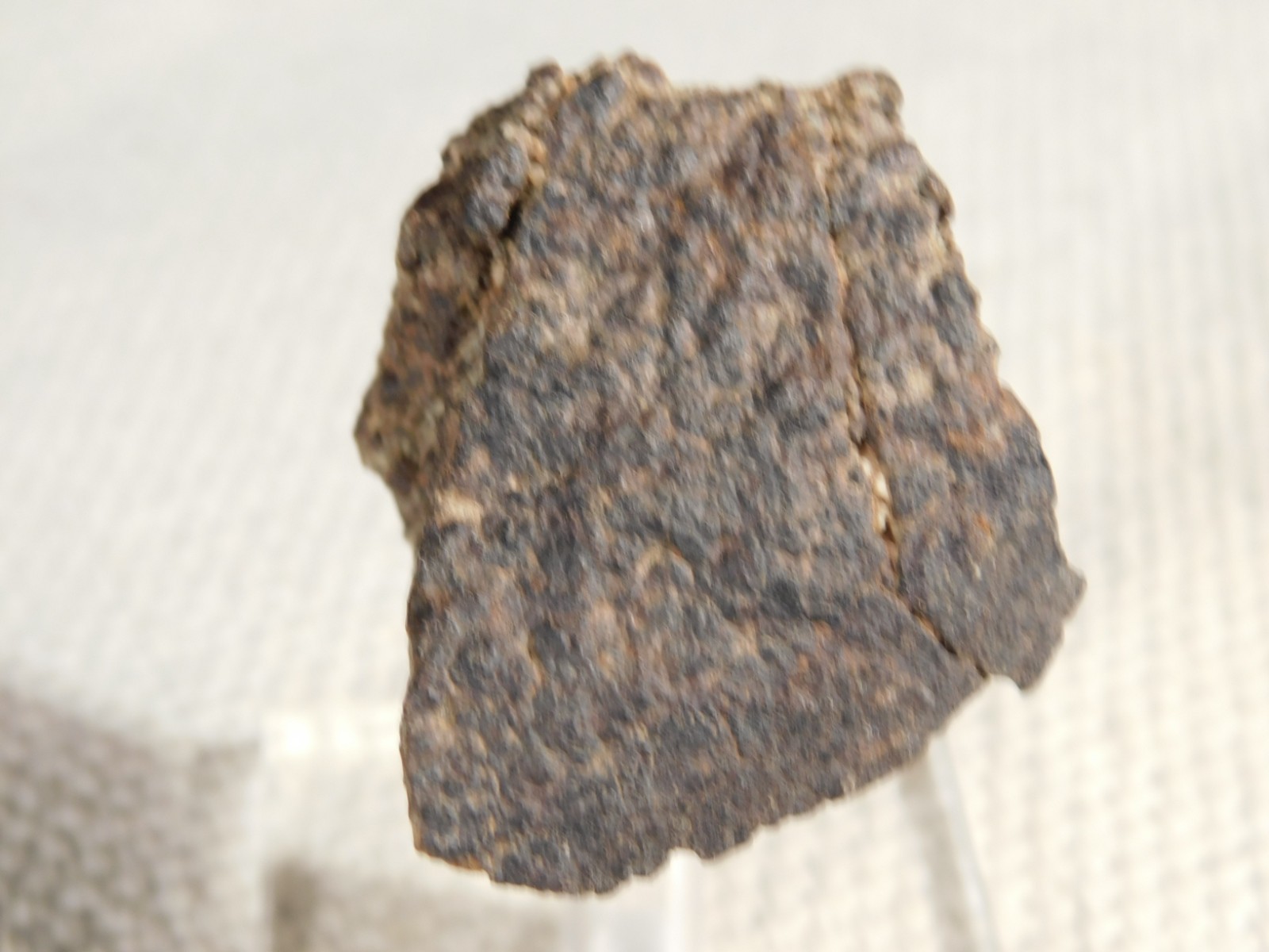 Classified NWA 8245 METEORITE 100% Natural FELL in Erfoud, Morocco 65.9gr
