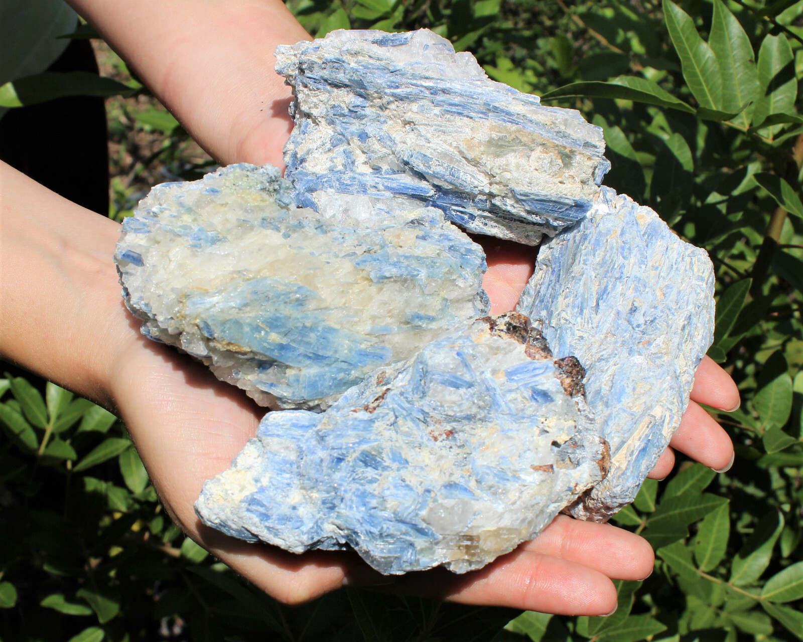 Large Natural Blue Kyanite with Quartz Mica Rough Crystal Specimen (12 – 15 oz)