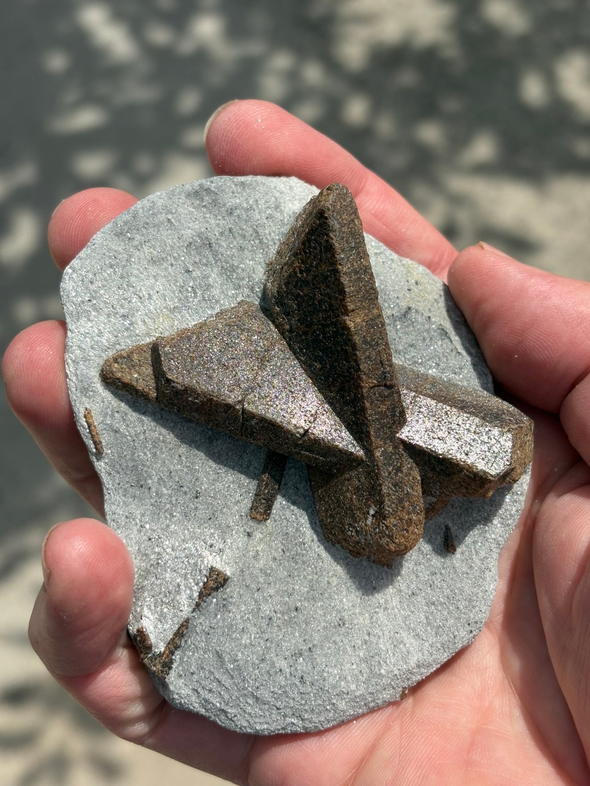 Staurolite, “fairy cross”, Keivy Mountains, Kola Peninsula, Russia